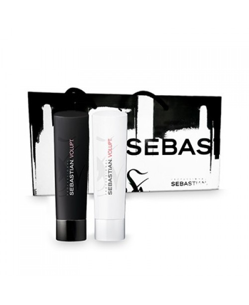 Pachet Sebastian Volupt shampoo 250ml+Volupt conditioner 250ml+Punga CADOU