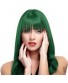 Vopsea de par Manic Panic verde - Venus Envy